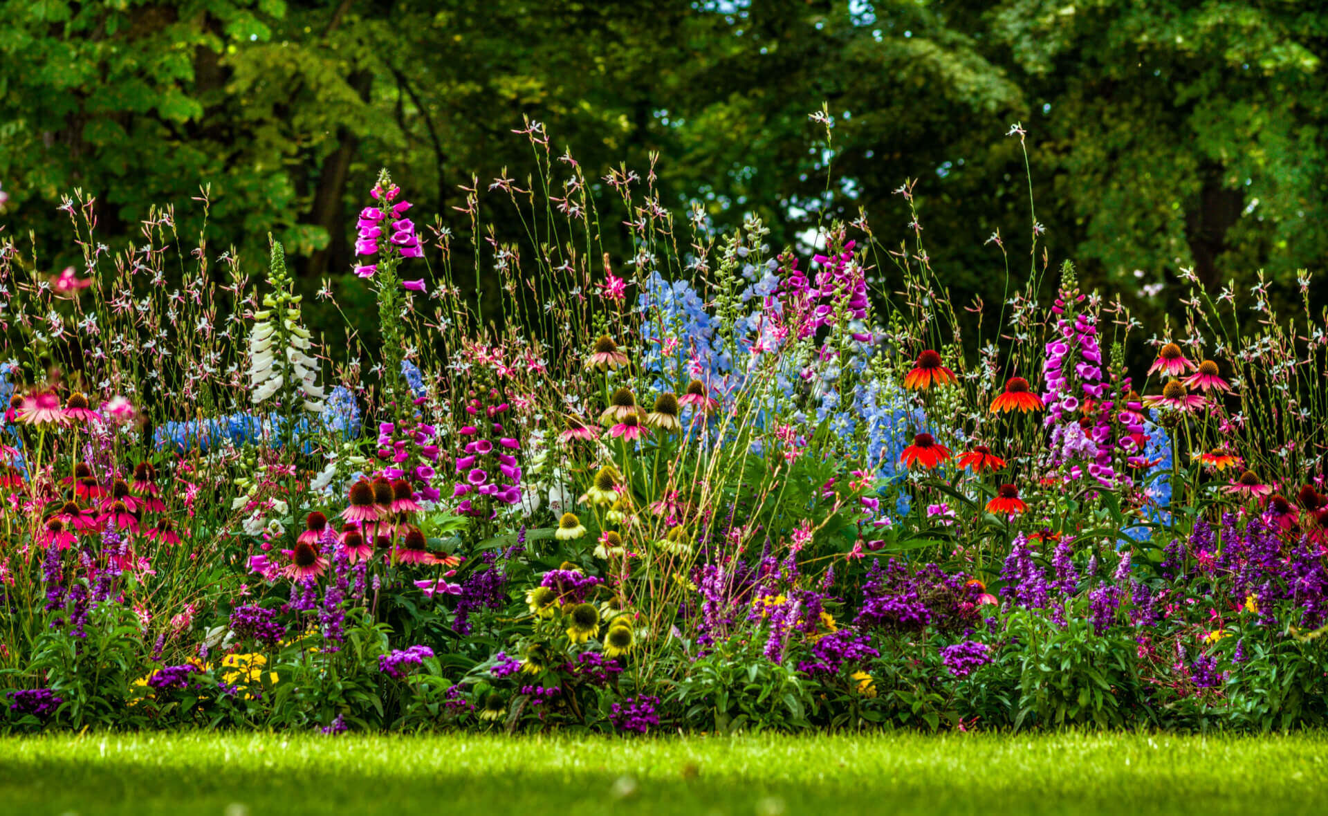 Vibrant 2024 gardening trend: tall purple pink blue red flowers bursting in bed