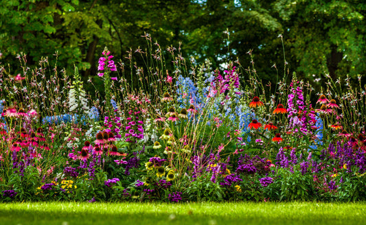 Vibrant 2024 gardening trend: tall purple pink blue red flowers bursting in bed
