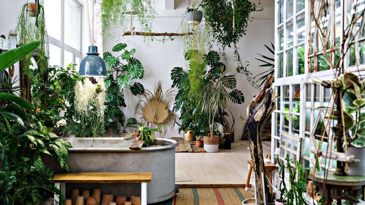 Rustic galvanized metal bathtub with wooden bench for indoor green spaces
