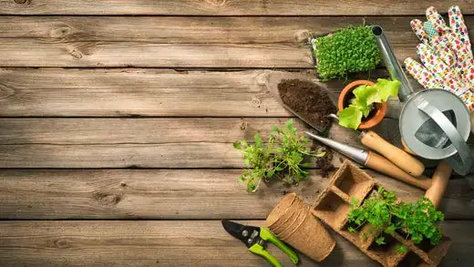 Gardening tools for purposeful planting on rustic wood surface