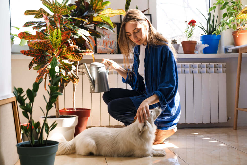 Woman in blue velvet jacket pets white fluffy dog safely with watering can