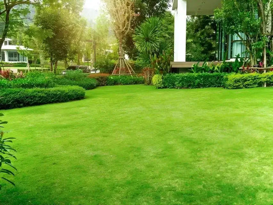 Lush green lawn with trimmed hedges and tropical plants at modern building