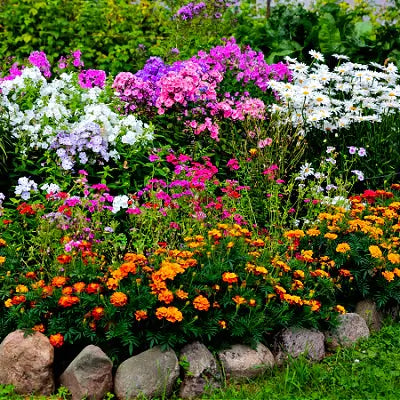 Creating A Perennial Garden - TN Nursery