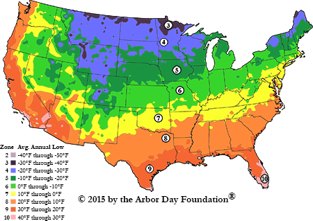Colorful USDA hardiness zone map of the United States for plant zones