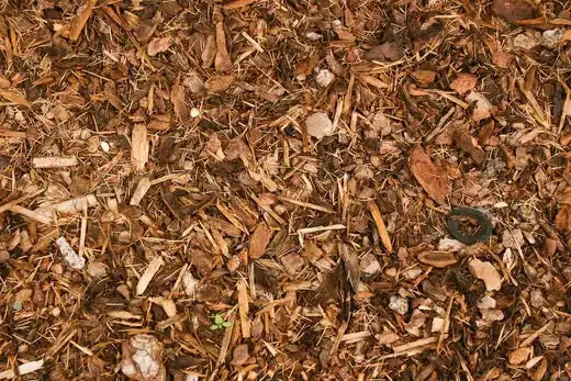 Brown wood chip mulch with leaves and stones in garden landscape