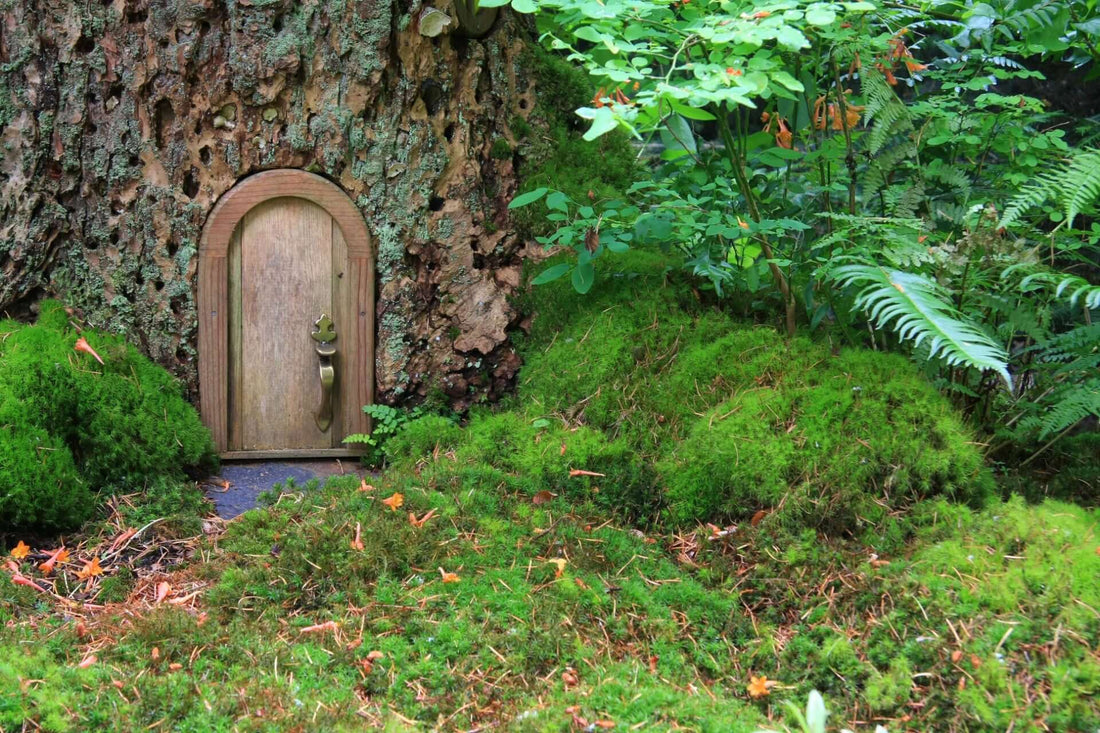 Rustic wooden arched door with bronze handle in moss-covered tree trunk