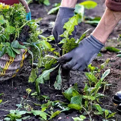 Dark gray gardening gloves back with breathable mesh texture