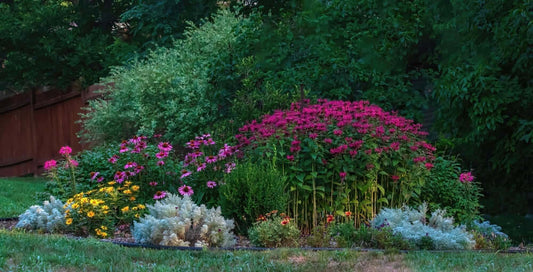 Vibrant garden bed with pink, yellow, purple flowers for right climate.