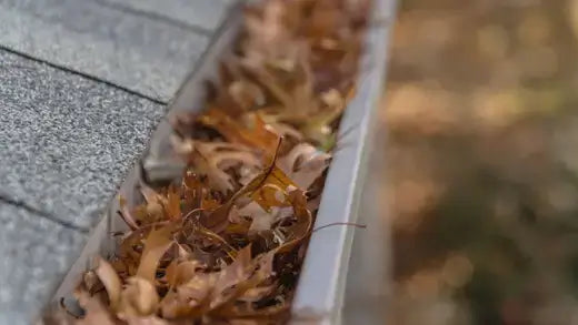 Gray metal gutter clogged with brown and orange autumn leaves