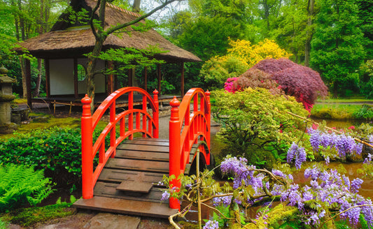 Vibrant red arched bridge over tranquil pond in Zen garden