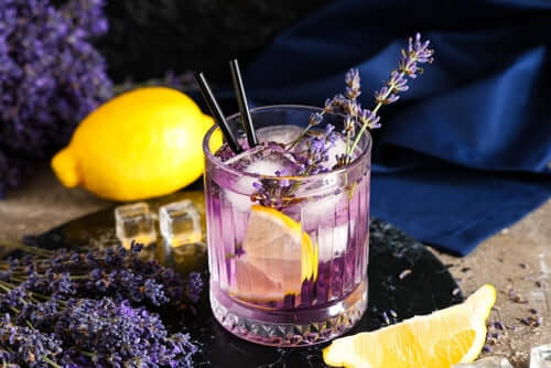 Purple lavender-infused drink in glass tumbler with lemon and sprigs