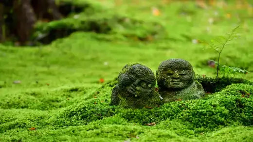 Moss-covered smiling stone statues in TN Nursery moss garden