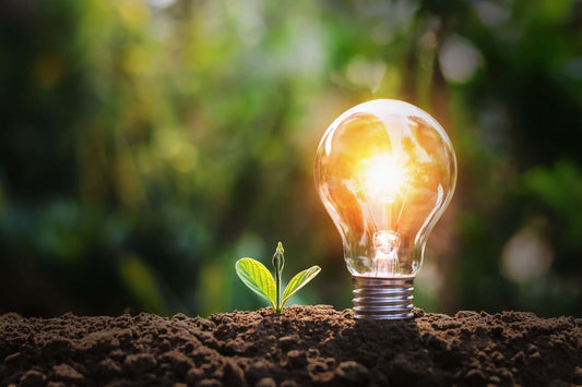 Glowing incandescent bulb in soil with green sprout, harnessing natural energies