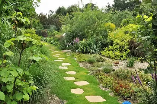 Winding garden path with beige stepping stones in green lawn for moss landscaping
