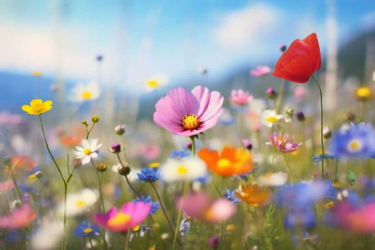 Butterfly-friendly plants