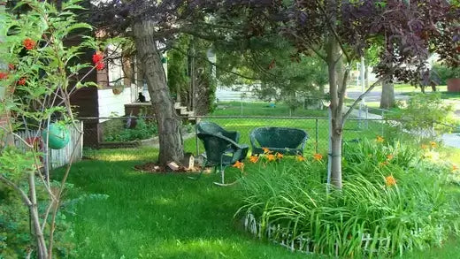 Affordable green plastic garden chairs for budget gardening