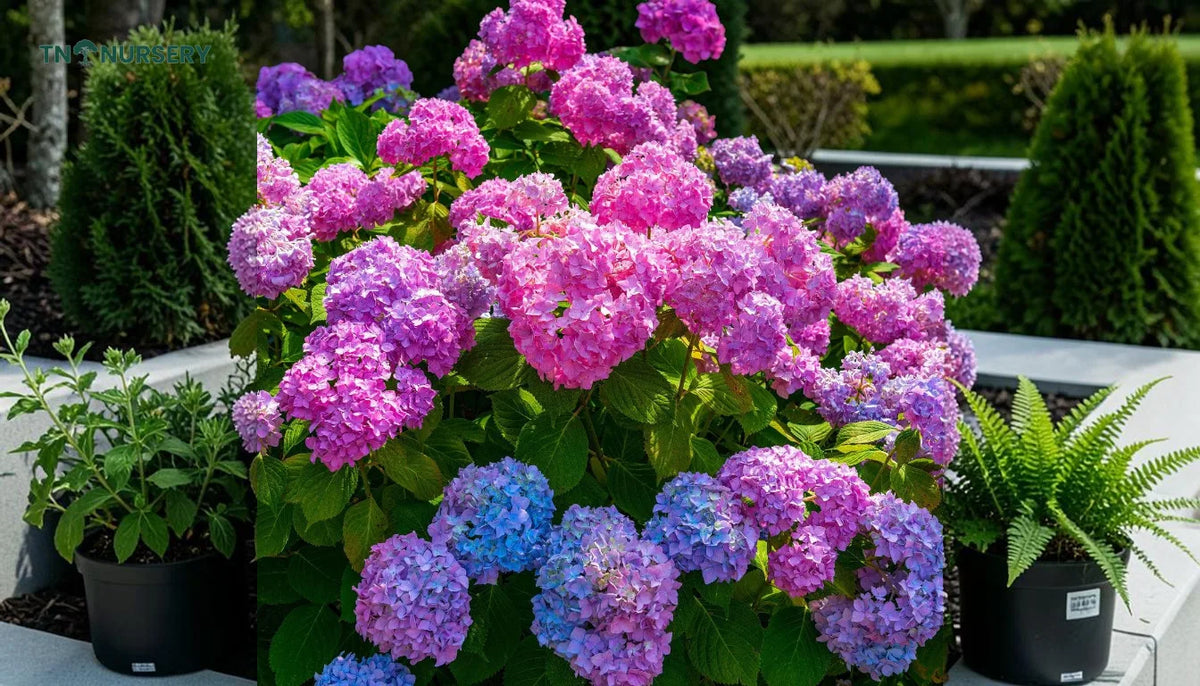 Best Landscaping Plants 2026: Ultimate Zone Guide