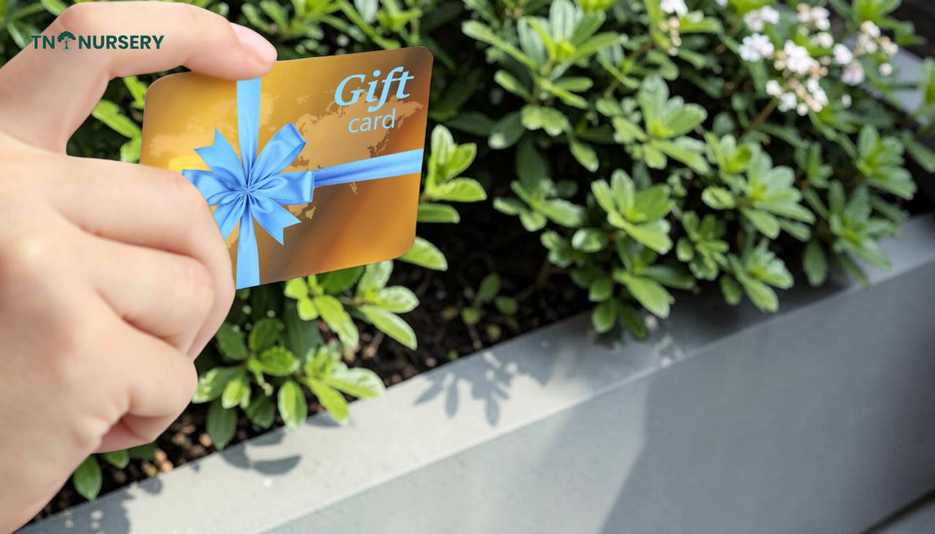 Spring Privacy Plants: Fast-Growing Shade Picks for 2026