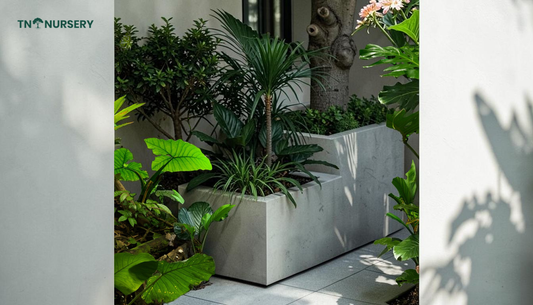 Best Container-Friendly Plants for Patios and Small Spaces