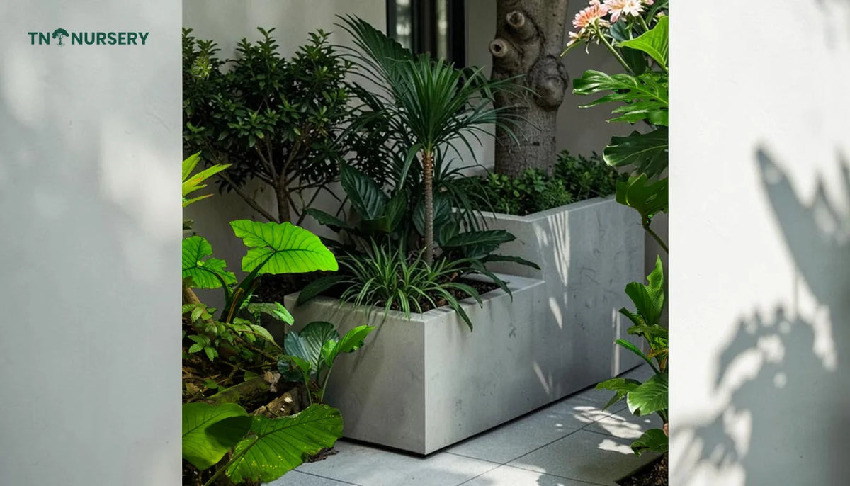 Best Container-Friendly Plants for Patios and Small Spaces