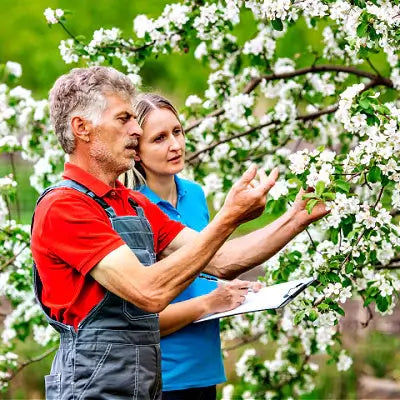 Gardening Advice from Experts | TN - TN Nursery