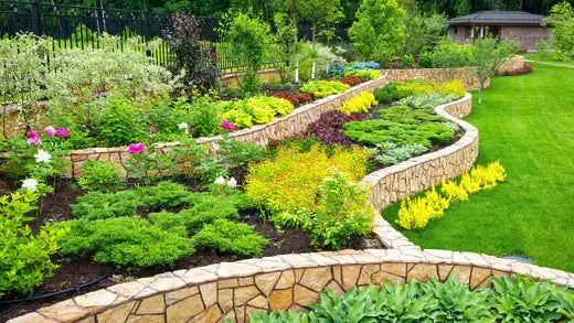 Home Landscape Design | TN Nursery - TN Nursery