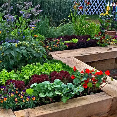 How to Build Raised Garden Bed Kits - TN Nursery