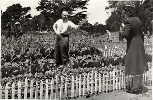 How to start a Victory Garden. - TN Nursery