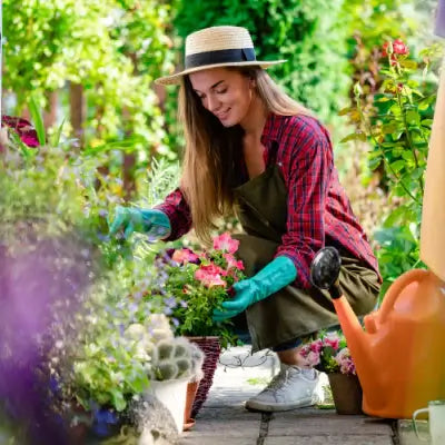 Money Saving Tips for Gardening - TN Nursery