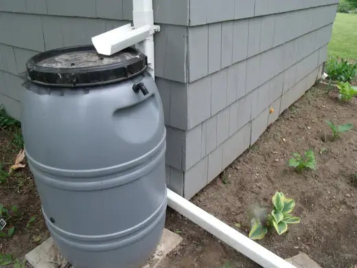 Rain Barrels | Facts and Information - TN Nursery