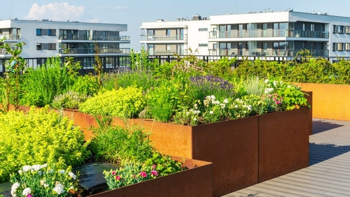 Rooftop Garden