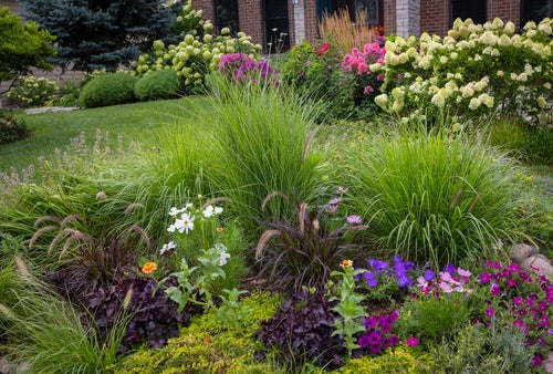 8 Top Native Plants for Tennessee Landscapes