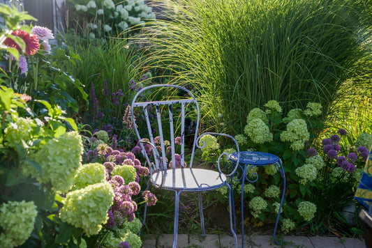 Delicate blue wrought iron garden chair with white cushion in lush flowers