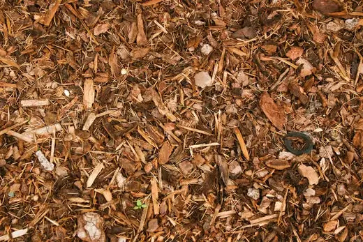 The Wonders Of Mulch - Garden Info - TN Nursery