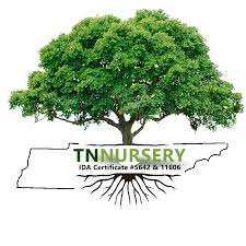 TN Nursery green leafy tree logo with state outline
