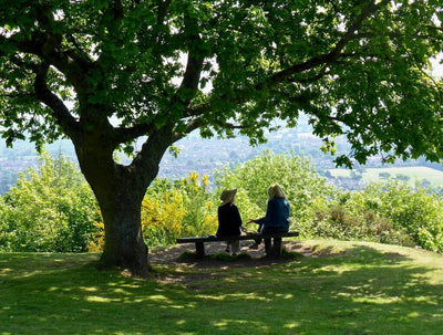 Two people on dark wooden bench under shady leafy green tree