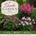 Shade Garden Trio - TN Nursery
