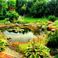 Serene garden pond with lily pads and stones for 10 water garden plants