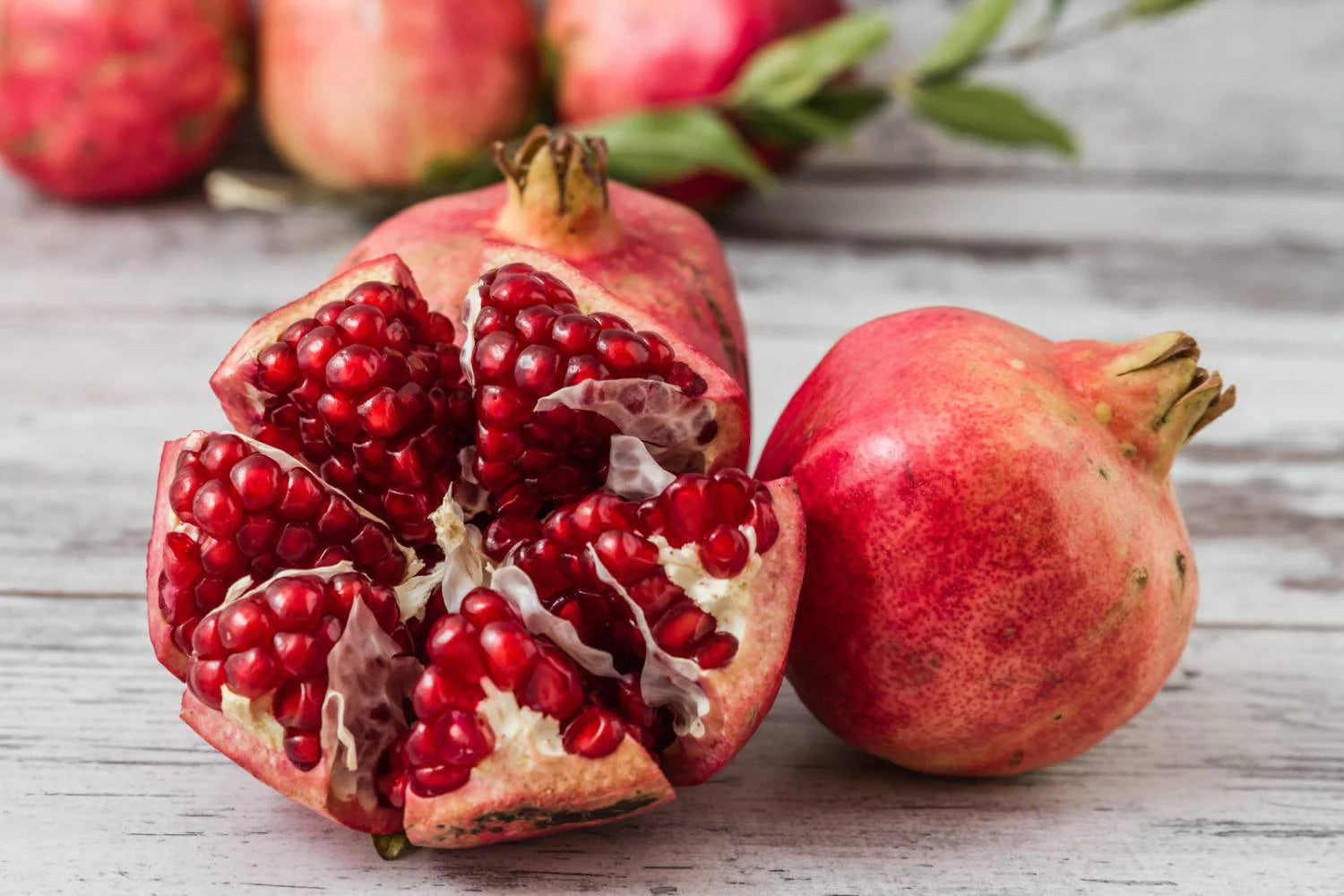 Pomegrante Tree