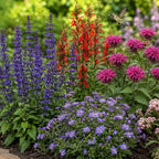 10 Hummingbird Plants