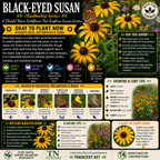 Garden Plants by TN Nursery