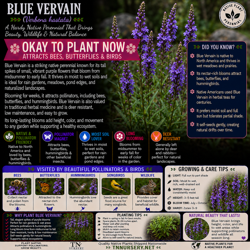 Plants For Garden