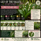 Garden Plants by TN Nursery