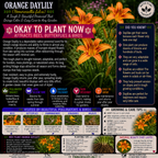 Plants For Garden