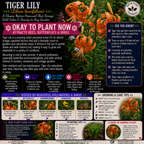 Plants For Garden