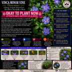 Plants For Garden
