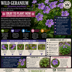 Quality Plants by TN Nursery
