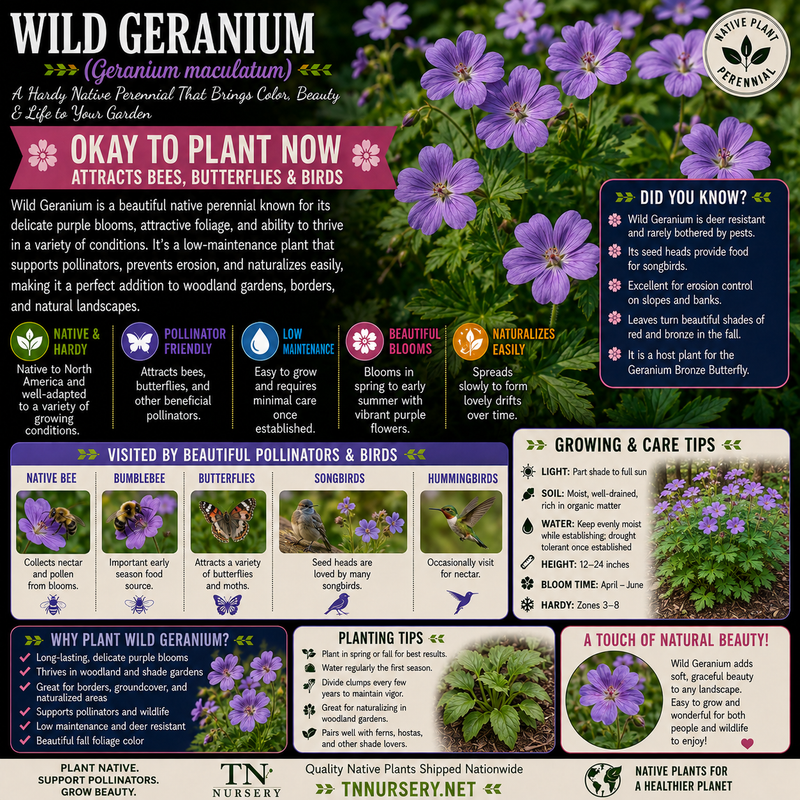 Quality Plants by TN Nursery