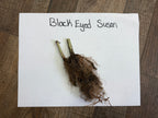 Dried Black Eyed Susan plant with brown roots and green stems on white paper