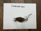 Dried Goldenseal plant with tangled earthy brown roots and compact cluster